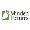Minden Pictures
